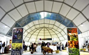 Eventos Anuais nas Caldas da Rainha, Feira dos Frutos, Gocaldas, o teu Guia Turístico Local