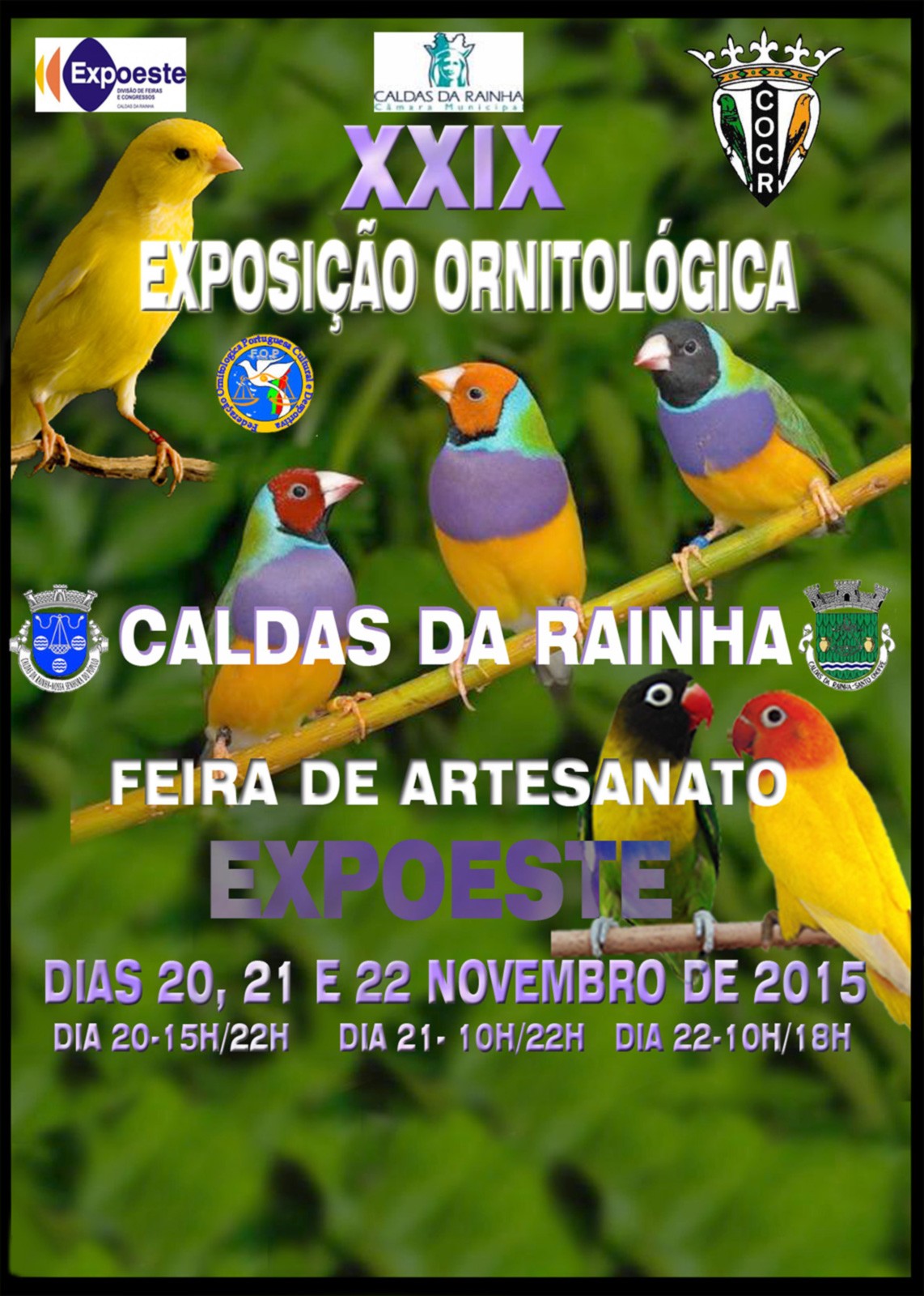 Exposição Ornitológica em Caldas da Rainha