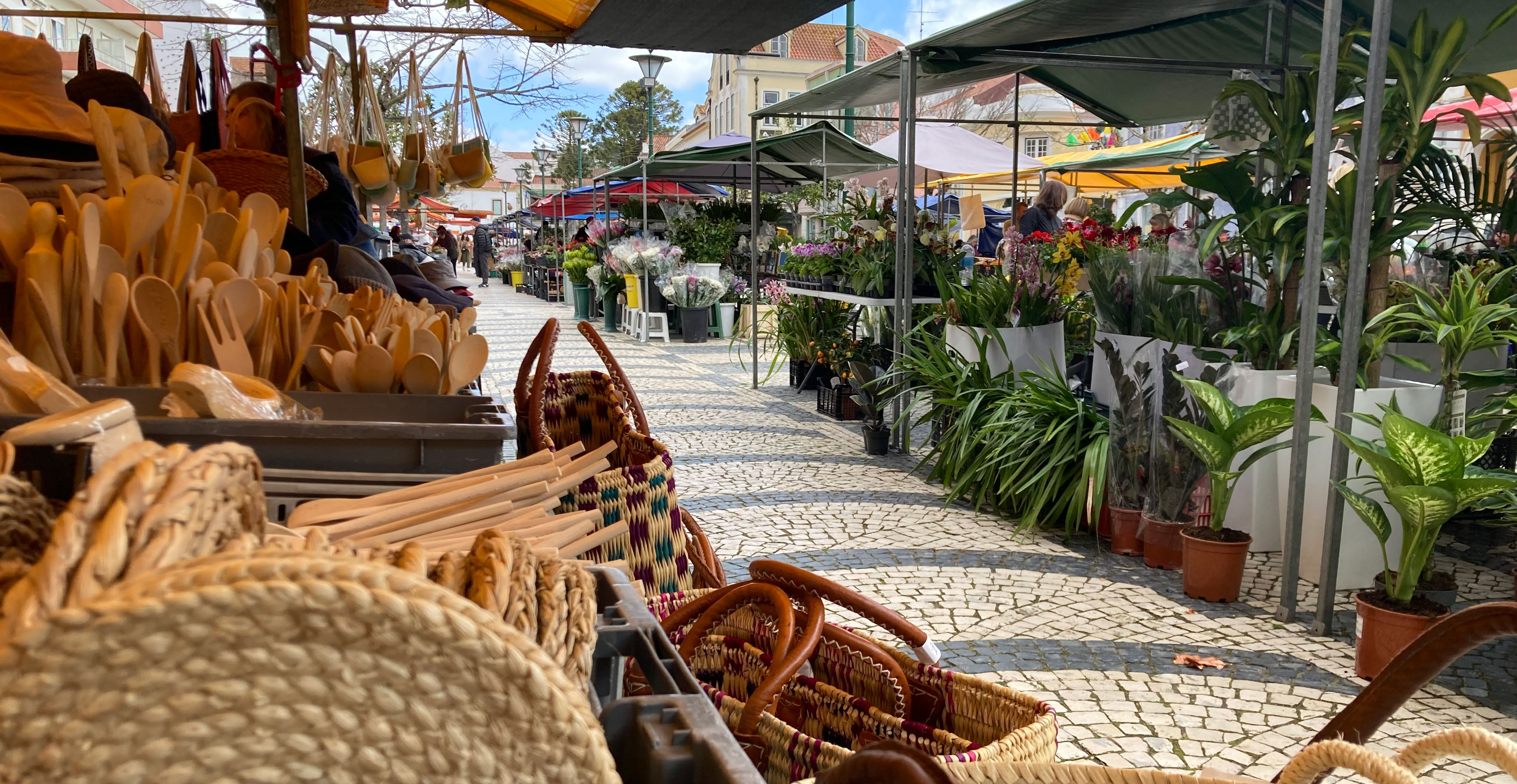 Praça da Fruta, a stop on the Caldas da Rainha Food Tour