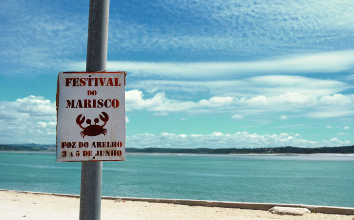 Eventos Anuais nas Caldas da Rainha, V Festival de Marisco da Foz do Arelho, Lagoa de Óbidos, Caldas da Rainha, Gocaldas, o teu Guia Turístico Local