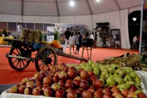 Feira dos Frutos 2017 Caldas da Rainha Gocaldas
