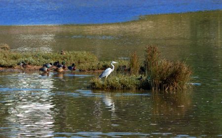 Lagoa de Óbidos, Nadadouro