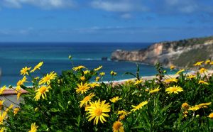 What do See and do at Nazaré