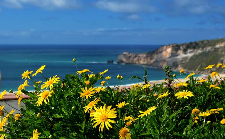 Panorâmica da Nazaré
