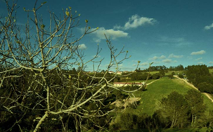 Salir de Matos, paisagem, Caldas da Rainha, Gocaldas