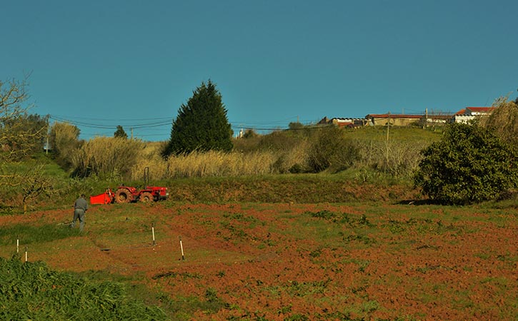 A dos Francos, paisagem rural, Caldas da Rainha, Gocaldas
