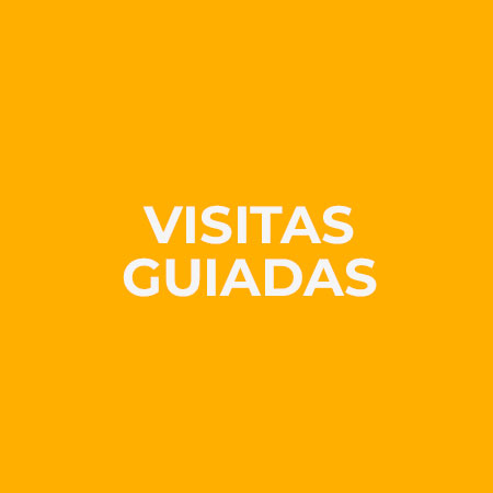 Visitas-Guiadas-em-Caldas-da-Rainha,-GoCaldas-Guia-Turístico-das-Caldas-da-Rainha,-2025