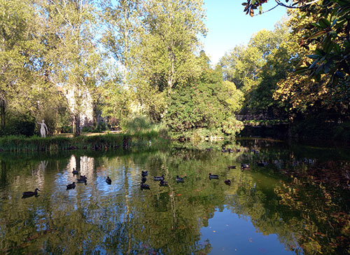 Belezas-naturais-das-Caldas-da-Rainha,-lago-articial,-GoCaldas-Guia-Turístico-de-Caldas-da-Rainha