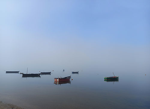 Best natural spaces in Caldas da Rainha, Parque Obidos Lagoon, GoCaldas Caldas da Rainha Touristic Guide