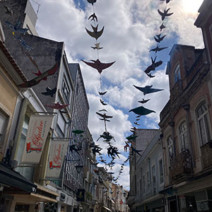 Itinerários-em-Caldas-da-Rainha,-rua-das-Montras,-GoCaldas-Guia-Turístico-de-Caldas-da-Rainha