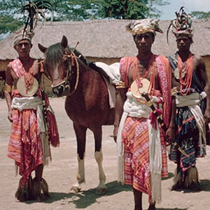 Agenda-Cultural-das-Caldas-da-Rainha,-O-Voo-do-Crocodilo---O-Timor-de-Ruy-Cinatti,-GoCaldas-Guia-Turístico-de-Caldas-da-Rainha